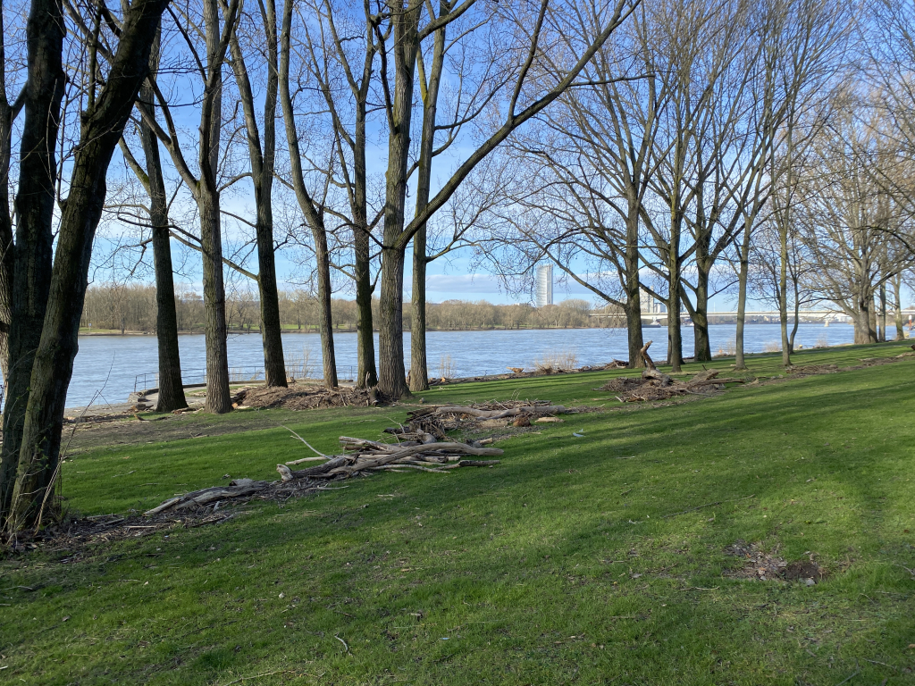 2024-03-02 Rhein 0050 k.JPG